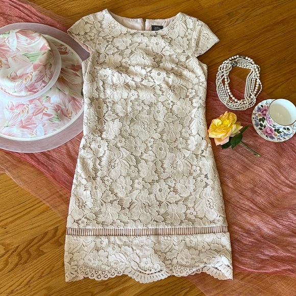 🌺 VINCE CAMUTO; Beautiful - Light Pink, Cap-Sleeved Lace Dress in Misses Size 2 - Picture 2 of 13